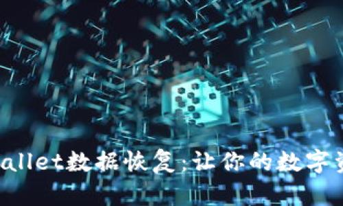 轻松掌握TPWallet数据恢复:让你的数字资产重燃希望!