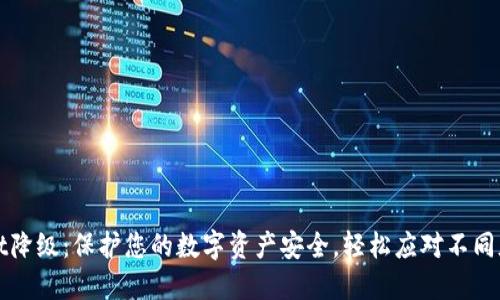 TPWallet降级：保护您的数字资产安全，轻松应对不同版本需求