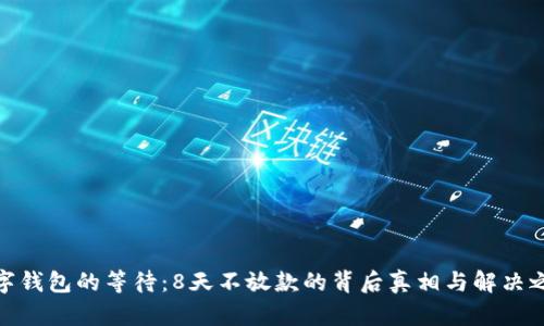 数字钱包的等待:8天不放款的背后真相与解决之道