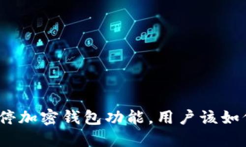 推特暂停加密钱包功能，用户该如何应对？