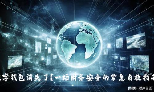 数字钱包消失了?一场财务安全的紧急自救指南!