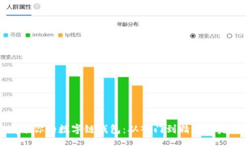 打造属于你的数字链钱包：从入门到精通的完整指南