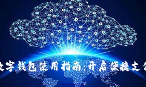 人民币数字钱包使用指南：开启便捷支付新时代