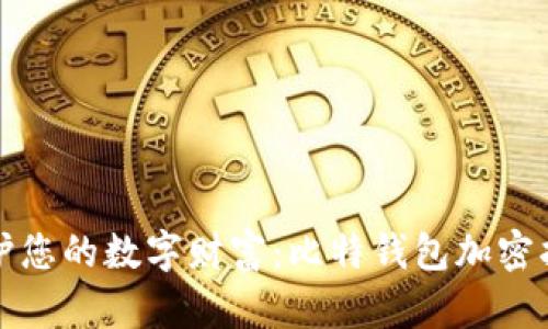 保护您的数字财富：比特钱包加密指南