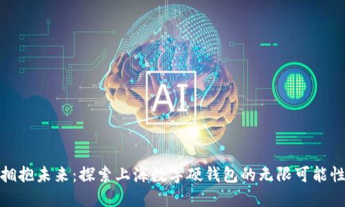 拥抱未来：探索上海数字硬钱包的无限可能性
