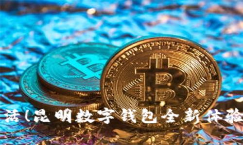 升级你的生活!昆明数字钱包全新体验等你来探索
