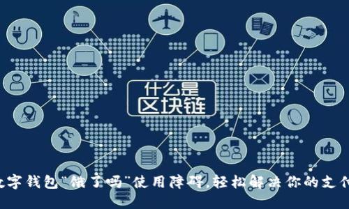 解密数字钱包“饿了吗”使用障碍,轻松解决你的支付困扰!