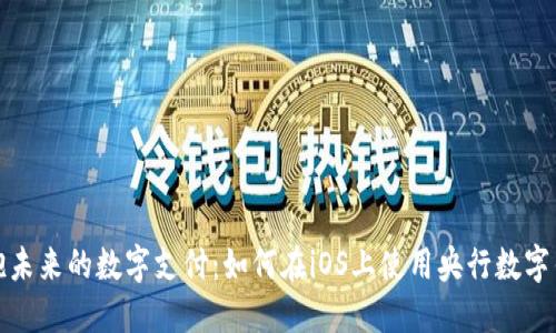 拥抱未来的数字支付:如何在iOS上使用央行数字钱包