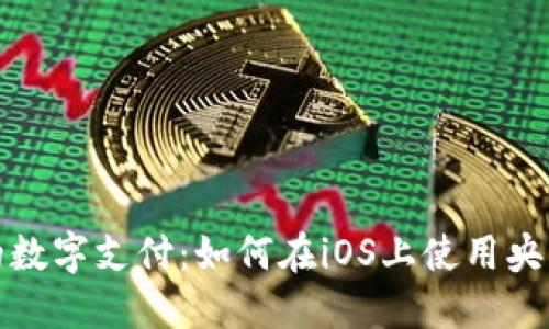 拥抱未来的数字支付:如何在iOS上使用央行数字钱包