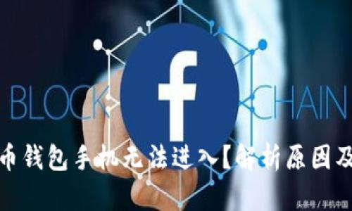 数字人民币钱包手机无法进入？解析原因及解决方案