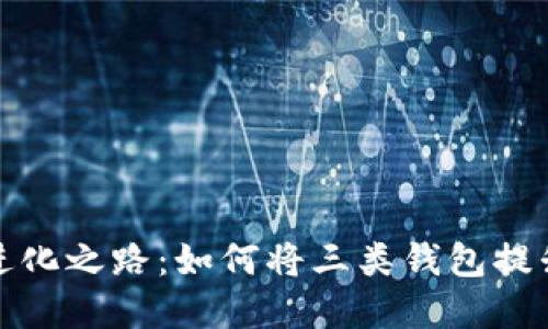 数字钱包的进化之路:如何将三类钱包提升为一类钱包