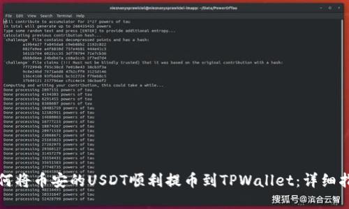 如何将币安的USDT顺利提币到TPWallet:详细指南