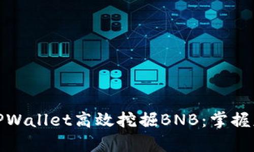 如何利用TPWallet高效挖掘BNB:掌握财富的钥匙