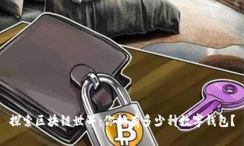探索区块链世界:你拥有多少种数字钱包?