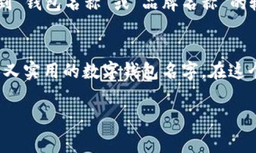 为您的数字钱包起一个吸引人的名字是至关重要的，它不仅能展现出品牌形象，还能吸引用户的关注和兴趣。下面将为您提供一些取名的建议和注意事项，以及如何设置这些名称的步骤。

1. 确定核心理念
在为数字钱包命名之前，首先要明确您的品牌核心理念。您的数字钱包是为了安全便捷地存储资金，还是为了方便用户进行快速交易？是希望传达出科技感、时尚感，还是安全感？确定这些内容后，您就可以在此基础上进行名字的构思。

2. 结合功能特点
根据钱包的主要功能，您可以考虑将相关词汇融入名字中。例如，如果您的钱包支持多种货币，可以考虑使用“Multi”或“Universal”之类的词；如果您注重安全性，可能会考虑使用“Secure”或“Safe”等词汇。

3. 增加个性化元素
为了让您的数字钱包名字更具个性，可以考虑使用一些创意拼接、双关语或与文化相关的元素。例如，结合流行文化中的元素，或者使用