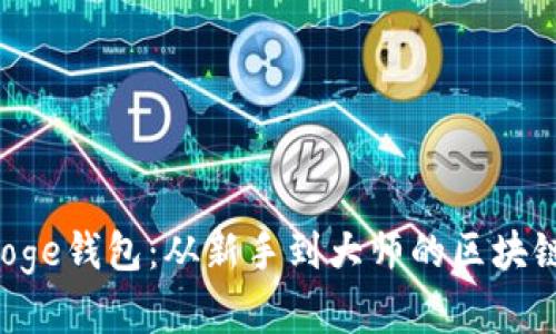 解锁TP Doge钱包:从新手到大师的区块链财富之路