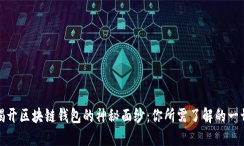 揭开区块链钱包的神秘面纱:你所需了解的一切
