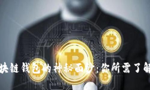揭开区块链钱包的神秘面纱:你所需了解的一切