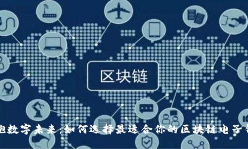 拥抱数字未来:如何选择最适合你的区块链电子钱包