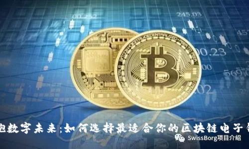 拥抱数字未来:如何选择最适合你的区块链电子钱包