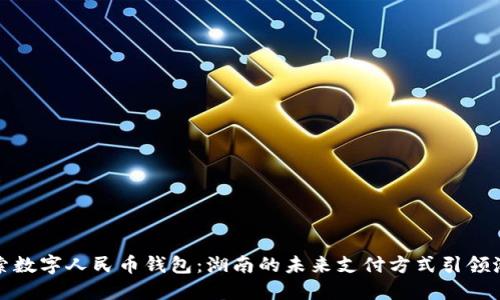 探索数字人民币钱包：湖南的未来支付方式引领潮流
