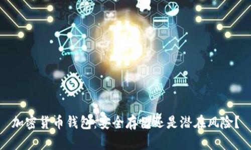 加密货币钱包：安全存储还是潜在风险？