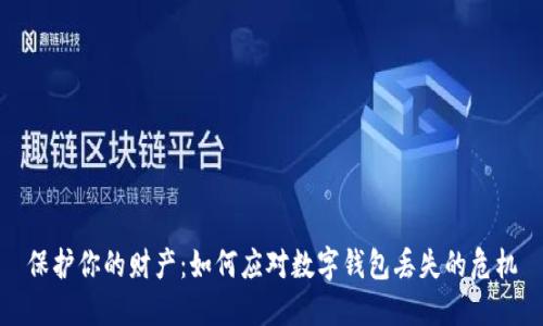 保护你的财产:如何应对数字钱包丢失的危机