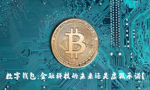 数字钱包:金融科技的未来还是虚假承诺?