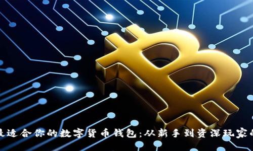 推荐：
如何选择最适合你的数字货币钱包：从新手到资深玩家的必备指南