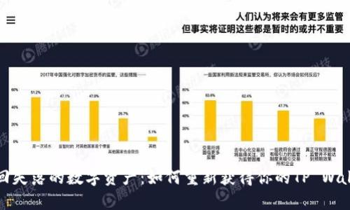 找回失落的数字资产：如何重新获得你的TP Wallet